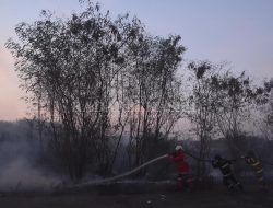 Sehari Tiga Lahan Kosong Terbakar