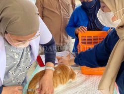 Cegah Rabies, 921 Hewan Peliharaan Divaksin