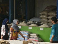 Stok Beras di Kabupaten Bekasi saat Kemarau Kembali Normal