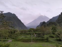 Gunung Merapi Batuk-batuk, Sehari 8 Kali Luncurkan Awan Panas