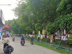 Partai Demokrat Kota Bekasi Larang Caleg Pasang APK di Pohon