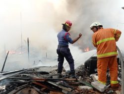 Ini Penyebab Lahan Lapak Hampir 1 Hektar di Bintara Terbakar