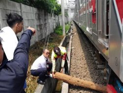 Kayu Melintang Kacaukan Jadwal KRL