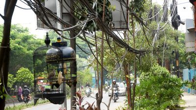 PT Telkom Siap Bertanggungjawab