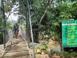 Jembatan Merintis Setu Bekasi Tawarkan Keindahan Alam Perdesaan