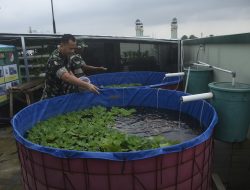 Rooftop Kodim 0507/Bekasi Disulap jadi Lahan Berkebun
