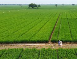 Cegah Penyalahgunaan Dana Desa di Kabupaten Bekasi