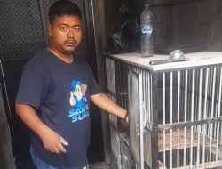 Jasa ‘Suruh Santo’ di Pondok Gede Pernah Bersihkan Kotoran Hewan hingga Manusia