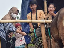 Lapak Pedagang Hewan Kurban di Cikarang jadi ‘Wisata’ Bocil