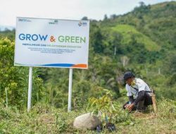 Maknai Hari Lingkungan Hidup Sedunia, BRI Pulihkan Ekosistem dan Lawan Perubahan Iklim Melalui Program BRI Menanam – Grow & Green