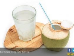 Meski Kaya Manfaat, Ini Bahaya Terlalu Banyak Minum Air Kelapa