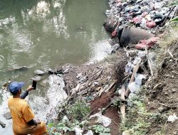 Perlu Satgas Atasi Kejahatan Lingkungan di Kabupaten Bekasi