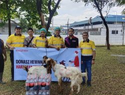 CCEP Indonesia Bagikan Hewan  Kurban dan Dukung Pengembangan Masyarakat