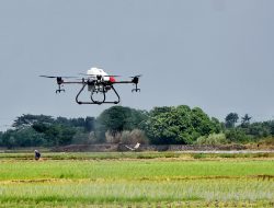 Penyemprotan Pestisida Gunakan Drone Lebih Efektif dan Efisien