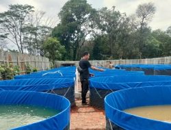 Pelaku Usaha Perikanan di Kabupaten Bekasi Butuh Regulasi