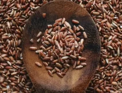 Manfaat Beras Merah dan Ciri Beras Merah Asli