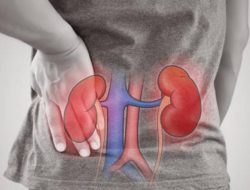 Kasus Gagal Ginjal di Kota Bekasi Tinggi, Faktor Risiko Harus jadi Perhatian Semua Kalangan Usia   