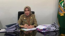 Kepala Bapenda Minta DPRD Revisi Dua Perda Ini untuk Dongkrak PAD