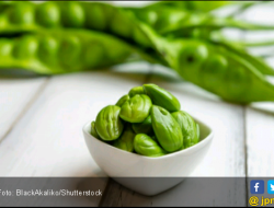 Penyuka Petai Harus Hati-hati, Ini Bahaya Makan Petai Berlebihan