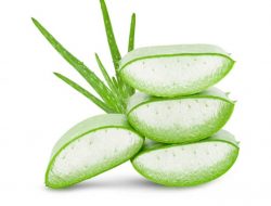 Ini Manfaat Bahan Alami Bagi Kesehatan Rambut