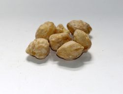 Manfaat Kemiri, Mampu Jaga Kesehatan Jantung Hingga Lancarkan Pencernaan