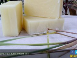 Manfaat Sabun Serai, Bisa Jadi Deodoran Alami hingga Kurangi Jerawat