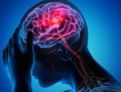 Hati-hati, Makanan Ini Ternyata Berbahaya bagi Kesehatan Otak