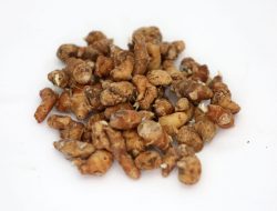 Manfaat Kencur, Bisa Mencerahkan Wajah hingga Atasi Jerawat