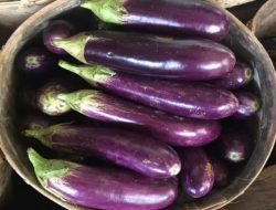 3 Khasiat Konsumsi Terong Cegah Penyakit Ini