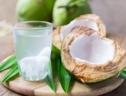 Minum Air Kelapa Ini Stabilkan Gula Darah hingga Cegah Batu Ginjal