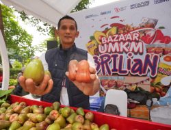 Kisah Pengusaha Jambu di Kudus, Sukses Kembangkan Usaha Berkat Pemberdayaan BRI