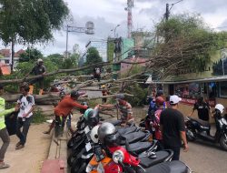 Dihempas Angin, Beringin 18 Meter Tumbang di Bekasi Selatan