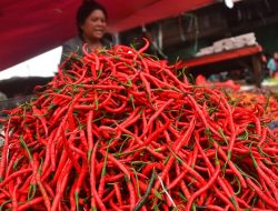 Harga Cabai Melangit di Kota Bekasi