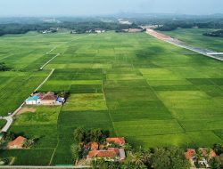 Dinas Pertanian Kabupaten Bekasi Tak Dapat DAK karena Belum Ada Perda LP2B