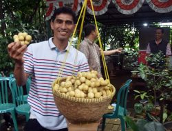 Kampung Sawah Bekasi Tunjukkan Potensi Agrowisata dengan Duku Lokal Unggulan