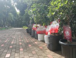 Tri Adhianto – Harris Bobihoe Terima Ribuan Bibit Pohon