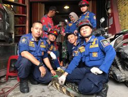 Tim Disdamkarmat Evakuasi Buaya Dua Meter dari Rumah Warga di Bintara Bekasi    