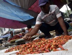 Harga Cabai Rawit Merah di Pasar Baru Bekasi Melonjak Drastis Jelang Lebaran
