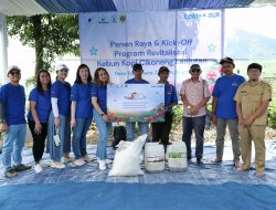 BCA Bantu Revitalisasi dan Panen Raya, Produksi Petani Kopi Cikoneng Bogor Melejit 350 Persen