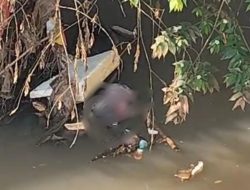 Jasad Bayi Perempuan Ditemukan Mengambang di Kali Cakung Bekasi Barat