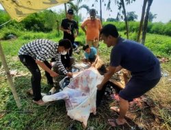 Pemkot Bekasi Siapkan Pelatihan Pemotongan Kurban Halal dan Aman