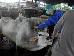 Jelang Iduladha, 36 Petugas Medis Diterjunkan Periksa Kesehatan Hewan Kurban di Kabupaten Bekasi