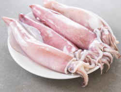 6 Manfaat Cumi-cumi untuk Kesehatan Tubuh yang Jarang Diketahui