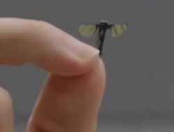 Drone Sekecil Nyamuk Tiongkok Kembangkan Mata-Mata Udara