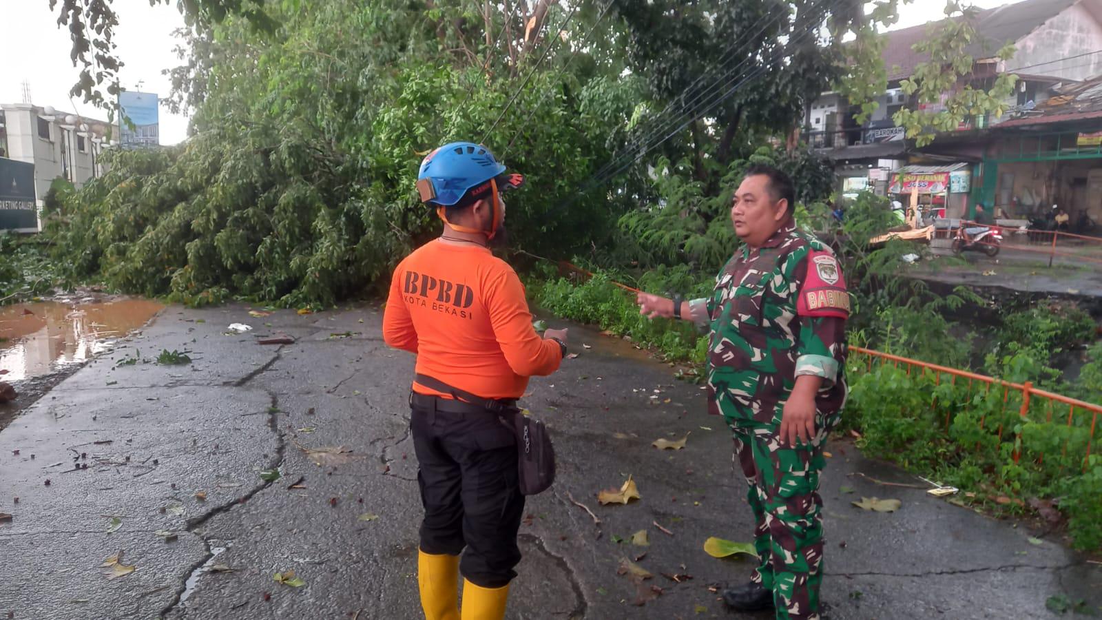 Hujan Deras dan Angin Kencang Tumbangkan Empat Pohon di Rawalumbu  