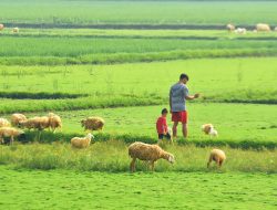 Ribuan Warga Desa Taman Rahayu Setu Belum Terima “Uang Bau” TPST Bantargebang