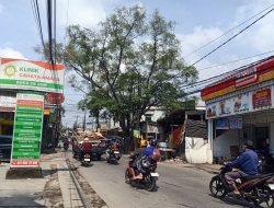 Membahayakan Pengguna Jalan, Pohon Beringin di Jalan KH Muchtar Tabrani Bekasi Utara Perlu Dipangkas