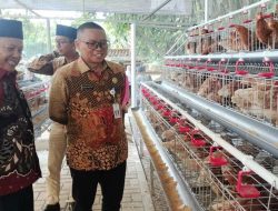 Desa Serang Cikarang Selatan Bantu Warga Jalankan Budidaya Ayam Petelur