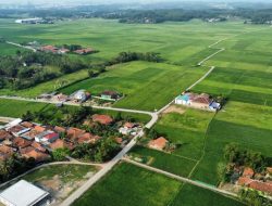 Perda LP2B jadi Kado Istimewa di Hari Tani Nasional 2025