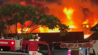 Jejak Taman Puring yang Terbakar: Terkenal Sebagai Surga Belanja Barang Unik dan Sepatu Murah di Jakarta